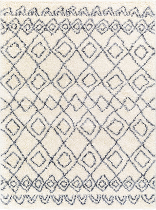 Surya Puffy Shag PFY-2301 Area Rug main image