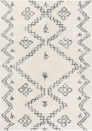 Surya Puffy Shag PFY-2303 Area Rug main image