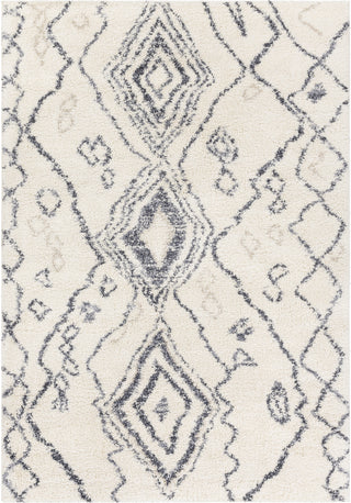 Surya Puffy Shag PFY-2304 Area Rug main image