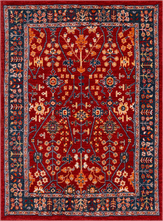 Surya Patina PIA-2302 Bright Red Navy Medium Gray Charcoal Burnt Orange Butter Blush Taupe Area Rug Mirror main image