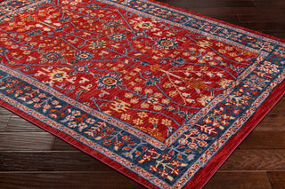 Surya Patina PIA-2302 Area Rug Corner Shot