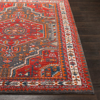 Surya Patina PIA-2304 Area Rug 