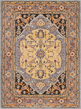 Surya Patina PIA-2307 Light Gray Wheat Charcoal Bright Orange Teal Camel Red White Area Rug Mirror main image