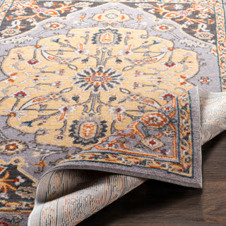 Surya Patina PIA-2307 Area Rug 