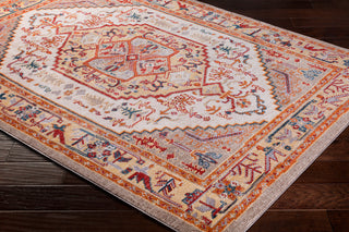 Surya Patina PIA-2310 Area Rug Corner Shot
