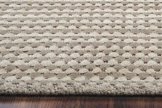 Rizzy Platoon PL1011 Area Rug 