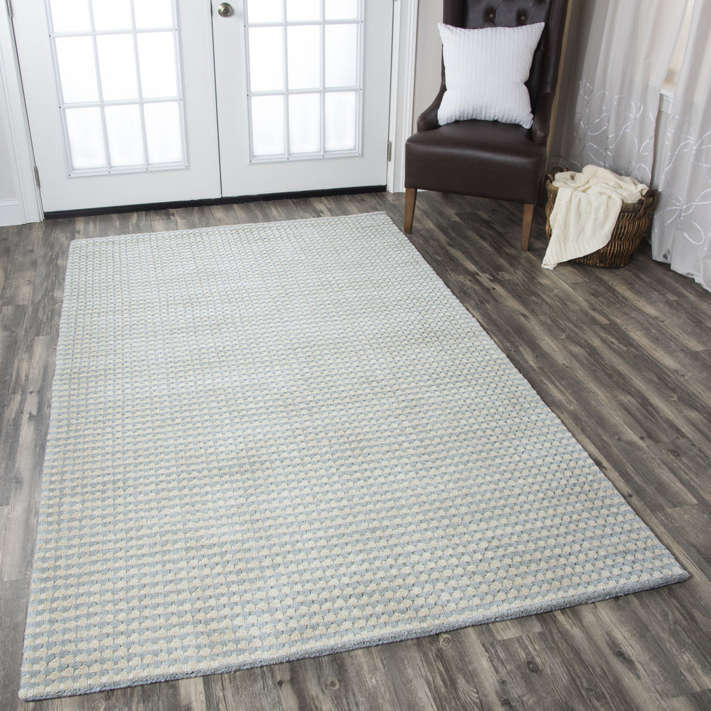 Rizzy Platoon PL1333 Area Rug  Feature