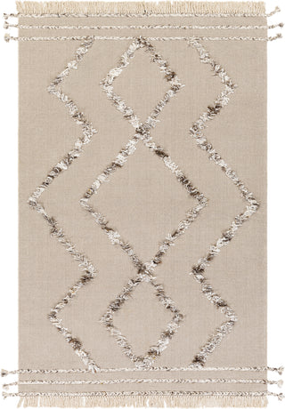 Surya Palo Alto PLA-2304 Area Rug