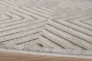 Momeni Platinum PN-02 Taupe Area Rug Corner Shot