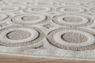 Momeni Platinum PN-03 Champagne Area Rug Corner Shot