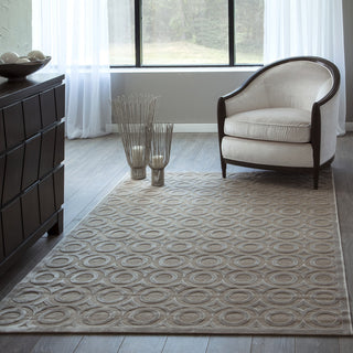 Momeni Platinum PN-03 Champagne Area Rug Detail Shot