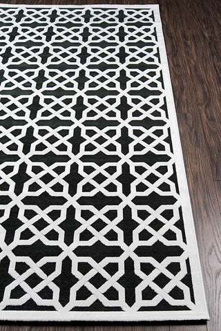 Momeni Platinum PN-04 Black Area Rug Detail Shot