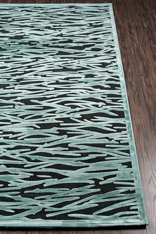 Momeni Platinum PN-09 Teal Area Rug Detail Shot