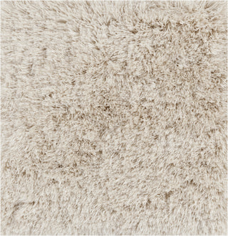 Surya Portland PLD-2001 Ivory Shag Weave Area Rug 16'' Sample Swatch