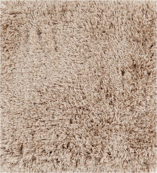 Surya Portland PLD-2003 Beige Shag Weave Area Rug 16'' Sample Swatch