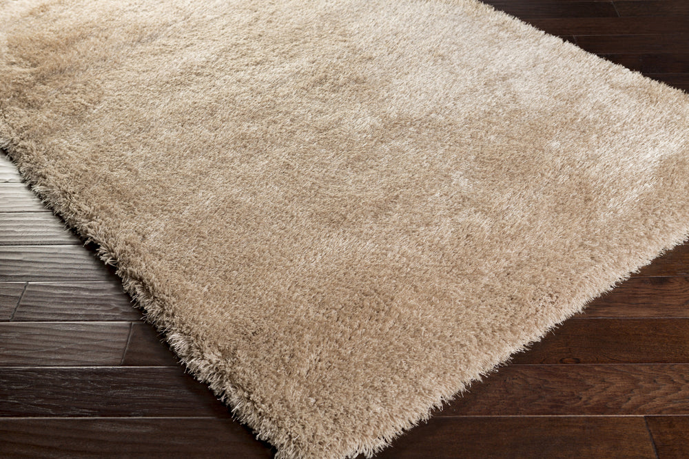 Surya Portland PLD-2003 Area Rug 5x8 Corner Feature