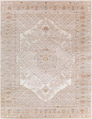 Surya Palermo PLO-2301 Aqua Taupe Cream Lime Camel Area Rug Main Image 8 X 10