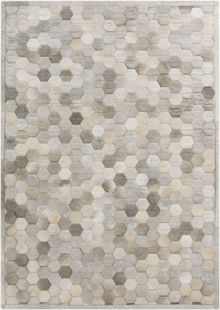 Surya Polar PLR-2000 Light Gray Area Rug 5' x 8'