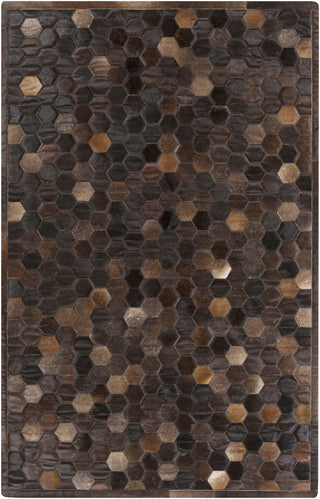 Surya Polar PLR-2001 Chocolate Area Rug 5' x 8'