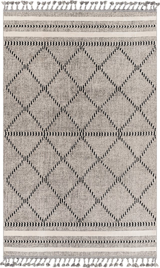 Surya Palermo PLR-2301 Area Rug main image