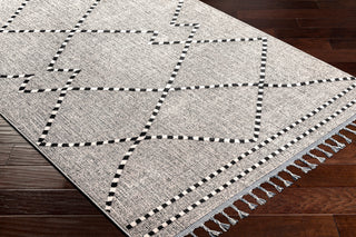 Surya Palermo PLR-2302 Area Rug Corner Shot