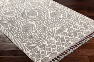 Surya Palermo PLR-2304 Area Rug Corner Shot
