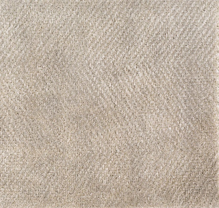 Surya Parma PMA-2303 Area Rug main image