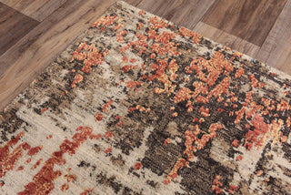 Rizzy Premier PMR102 Brown Area Rug