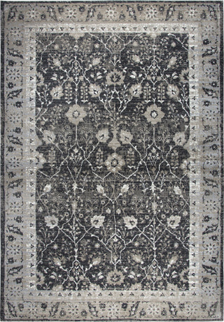 Rizzy Panache PN6966 Black Area Rug main image