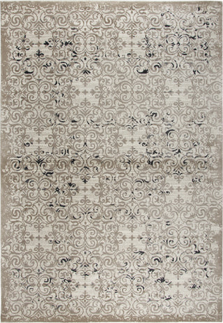 Rizzy Panache PN6970 Beige Area Rug main image