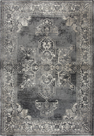 Rizzy Panache PN6972 Gray Area Rug main image