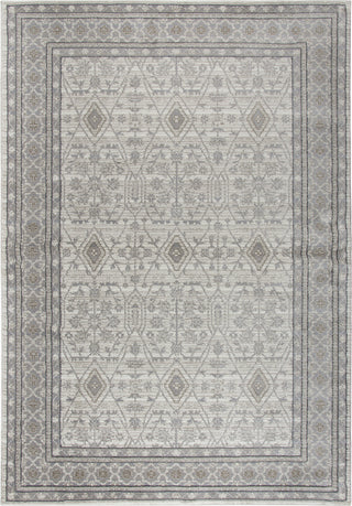 Rizzy Panache PN6976 Beige Area Rug main image