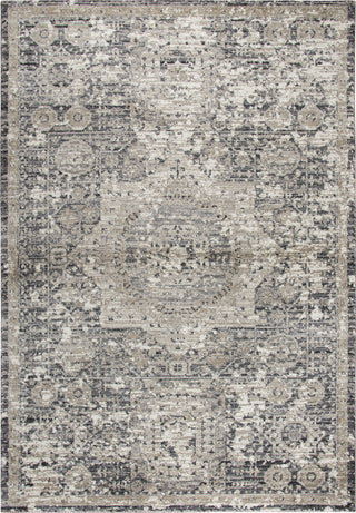 Rizzy Panache PN6977 Gray Area Rug main image