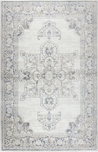 Rizzy Panache PN6980 Natural Area Rug main image