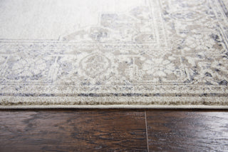 Rizzy Panache PN6980 Natural Area Rug 