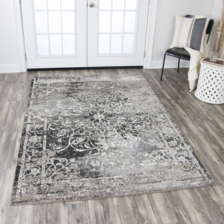 Rizzy Panache PN6981 Taupe Area Rug  Feature