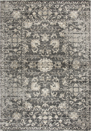 Rizzy Panache PN6986 Gray Area Rug main image