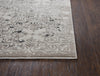 Rizzy Panache PN6970 Beige Area Rug Detail Image