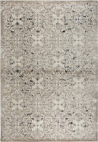 Rizzy Panache PN6970 Beige Area Rug Main Image