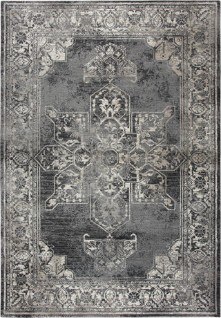 Rizzy Panache PN6972 Gray Area Rug Main Image