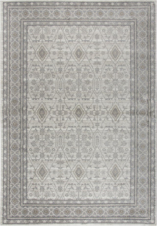 Rizzy Panache PN6976 Beige Area Rug Main Image