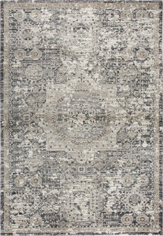 Rizzy Panache PN6977 Gray Area Rug Main Image