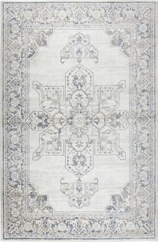 Rizzy Panache PN6980 Natural Area Rug Main Image