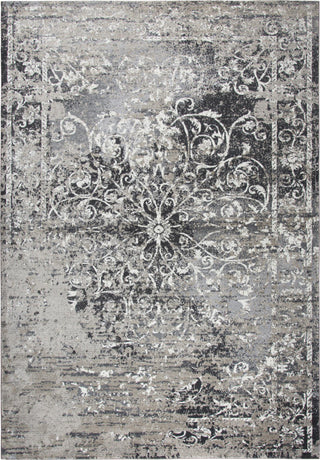 Rizzy Panache PN6981 Taupe Area Rug Main Image