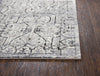 Rizzy Panache PN6982 Taupe Area Rug Detail Image