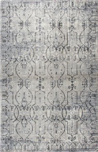 Rizzy Panache PN6982 Taupe Area Rug Main Image