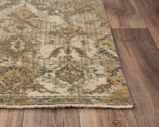 Rizzy Platinum PNM101 Beige/Brown Area Rug