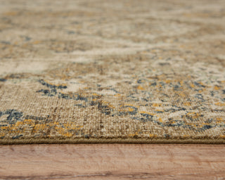 Rizzy Platinum PNM101 Beige/Brown Area Rug