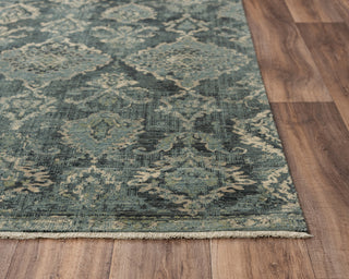 Rizzy Platinum PNM102 Blue/Beige Area Rug