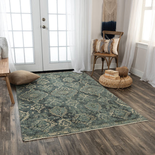 Rizzy Platinum PNM102 Blue/Beige Area Rug Room Image 2